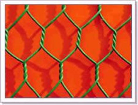 Hexagonal Wire Netting